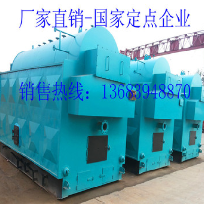 锅炉厂家 10吨生物燃料蒸汽锅炉 2吨生物质热水锅炉图3