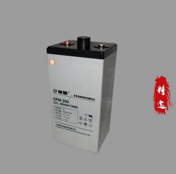 上海复华蓄电池GFM-1500风力发电蓄电池2V1500AH海洋 石油 交通图3