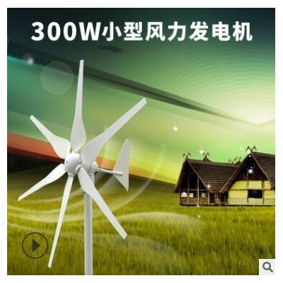 厂家批发300W风力发电机风光互补路灯监控12V用风机家用风电设备