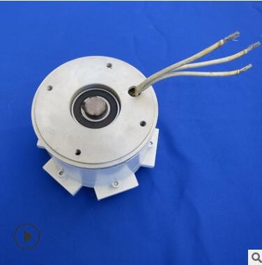厂家销售300W风力发电机马达永磁外转子电机12V24V用于发电制作图3
