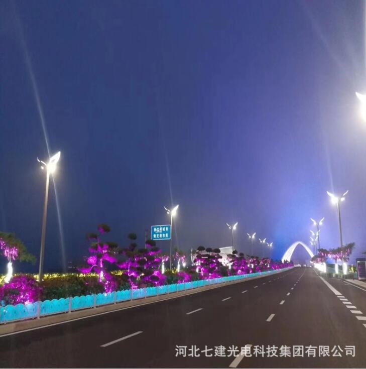 中华灯玉兰灯 中华灯12米道路 照明路灯景观灯 led市电路灯图2