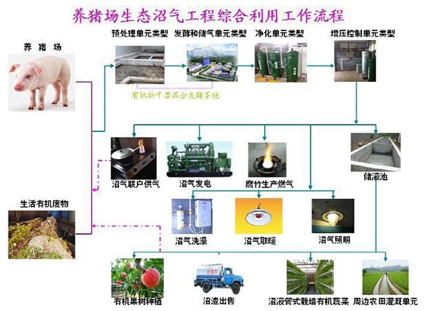 大型养殖场废弃物治理及资源化利用图2