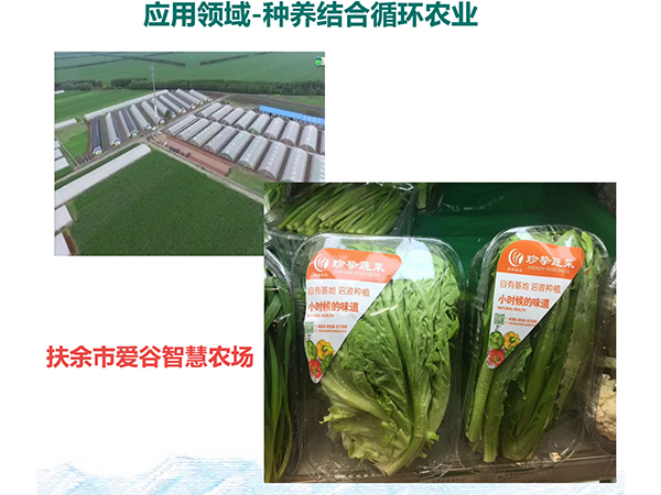 生态循环农业