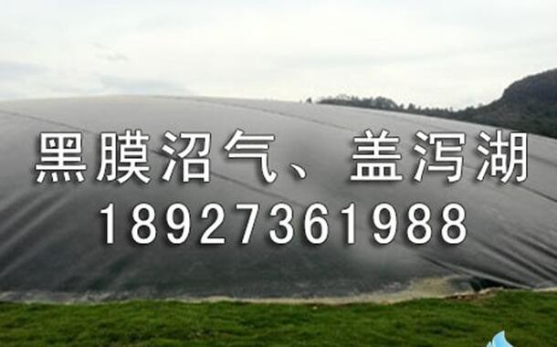 软膜沼气图3