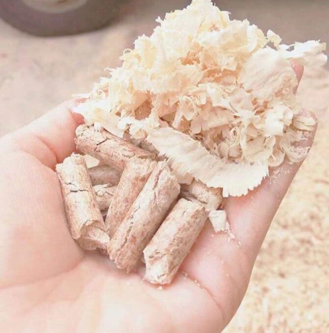 惠州惠阳厂家直销供应电镀厂五金厂生物质锅炉专用燃料生物质颗粒