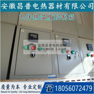 电加热温度控制箱电伴热带温控箱智能控制箱电热带温控箱防水防雨