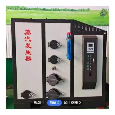 智能控温蒸汽发生器 新型免报批蒸汽锅炉直售