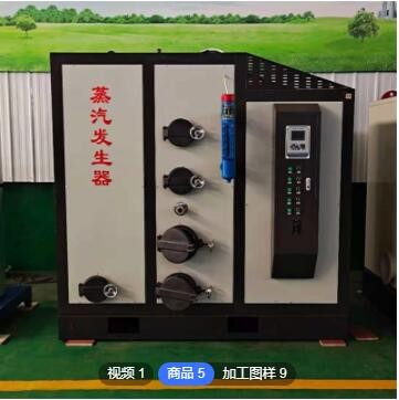 智能控温蒸汽发生器 新型免报批蒸汽锅炉直售图3