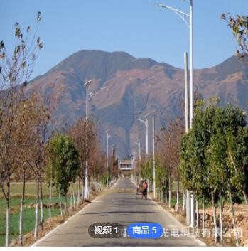 太阳能路灯led中国结 8米双头太阳能路灯 新农村太阳能时控路灯
