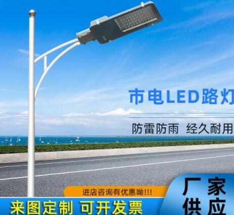 路灯厂家新款金豆路灯LED高亮路灯农村户外亮化光源照明LED路灯头图3