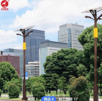 市政LED路灯 特色太阳能路灯 新农村太阳能路灯乡村改造建设路灯