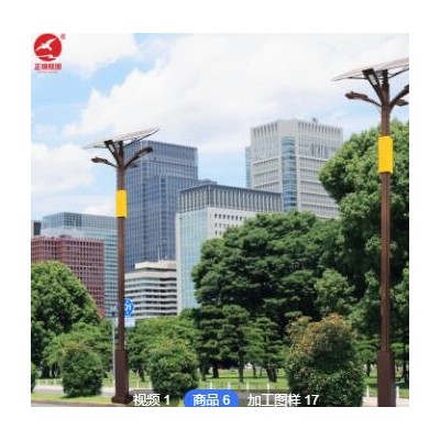市政LED路灯 特色太阳能路灯 新农村太阳能路灯乡村改造建设路灯