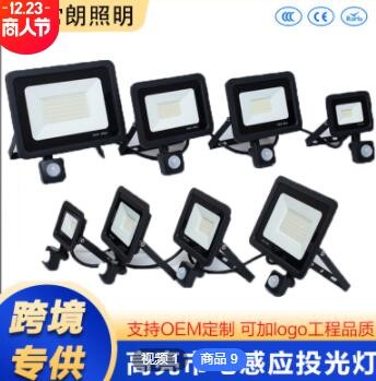 亚马逊户外人体感应投光灯50W小苹果投光灯市电led泛光灯投光灯