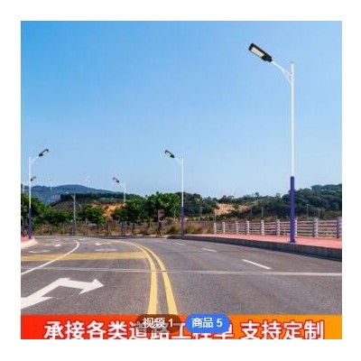 一体化太阳能路灯定制100W6米8米户外灯道路照明新农村太阳能路灯