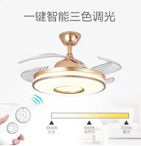 北欧风扇灯 家用客厅隐形吊扇灯现代餐厅卧室变频吸顶风扇灯42寸图2