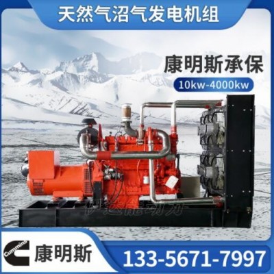 加工定制300kw康明斯天然气发电机组 纯铜无刷垃圾废弃处理发电机