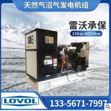 伊达能雷沃动力30kw养猪场废水燃气发电机组图2