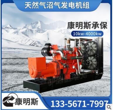康明斯250kw300千瓦400kw500kw垃圾发电机组热电联产 燃气发电机