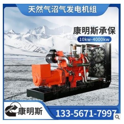 康明斯250kw300千瓦400kw500kw垃圾发电机组热电联产 燃气发电机