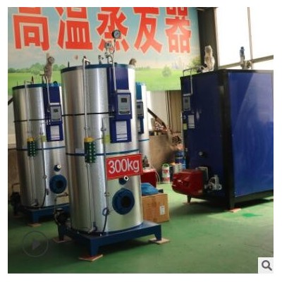 蒸汽发生器厂家 热效率高水泥管养护用700KG燃气蒸汽发生器