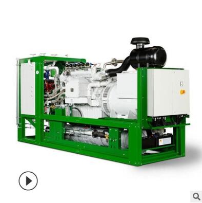 500kW 济柴/德国曼MAN技术 燃气机组 沼气配套设备图3