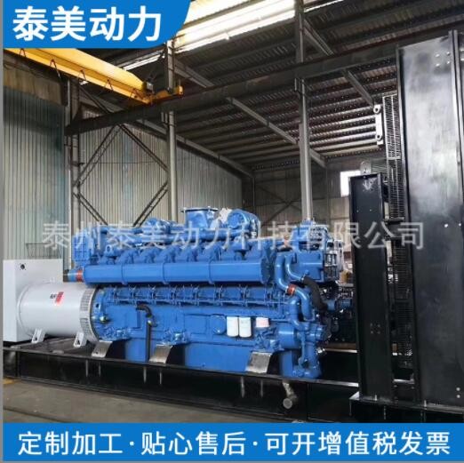 太发玉柴天然气1500KW发电机 沼气发电机组图3