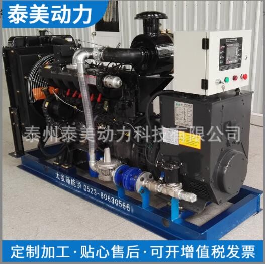 斗山 燃气发动机发电机组250KW 发电机组价格图3