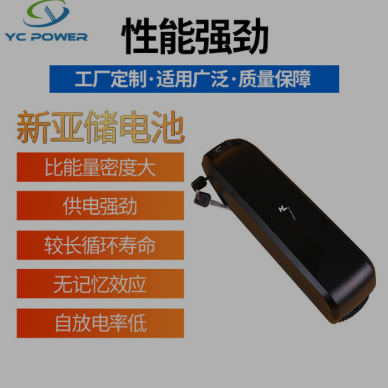 海龙一号锂电池48V10AH电动车三地车自行车锂电池助力车电瓶批发图2