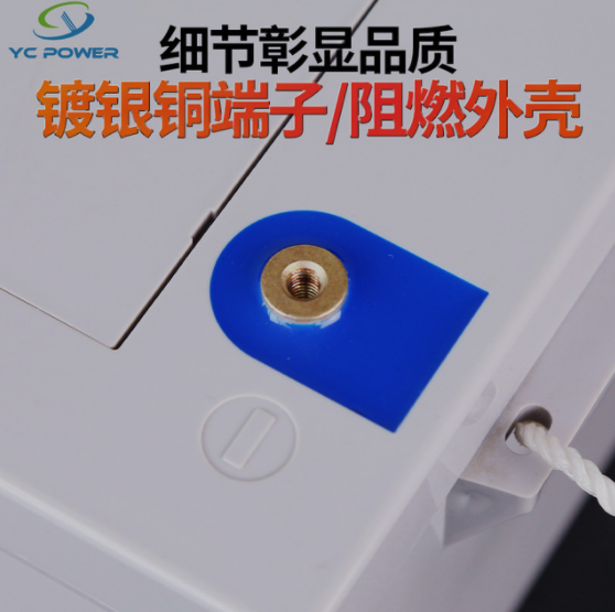 12V250AH铅酸蓄电池 UPS免维护不间断电蓄电池 光伏能源电池厂家图2