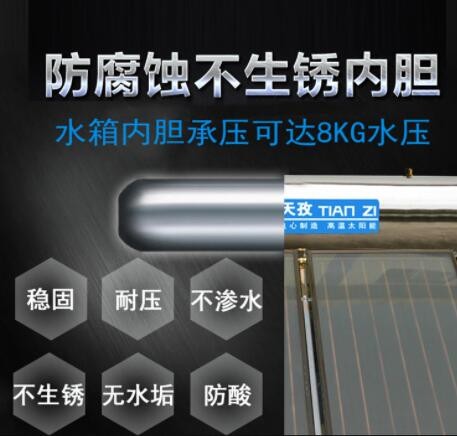 天孜厂家一体式承压平板太阳能热水器家用新型光电农村太阳能