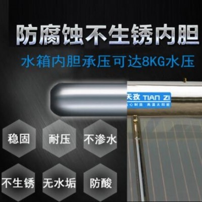 天孜厂家一体式承压平板太阳能热水器家用新型光电农村太阳能