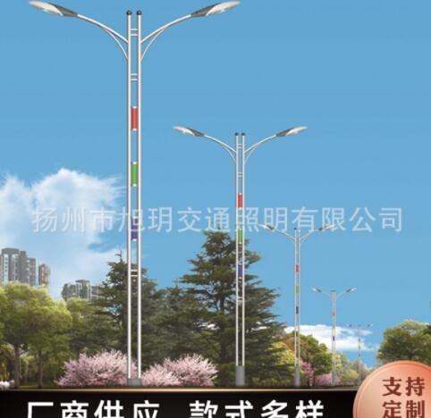 定制户外LED双臂路灯杆 新农村道路照明室外照明灯具批发定制