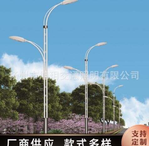 定制户外LED双臂路灯杆 新农村道路照明室外照明灯具批发定制图2