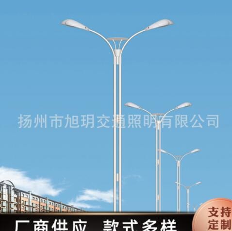 户外LED路灯 室外照明灯具小区5/6/8米双臂LED路灯杆批发量大从优图2