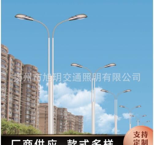 户外LED路灯 室外照明灯具小区5/6/8米双臂LED路灯杆批发量大从优图3