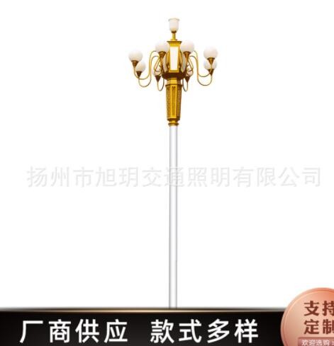 厂家直供道路照明灯具LED中华灯 12米15米广场景观灯批发定制图3