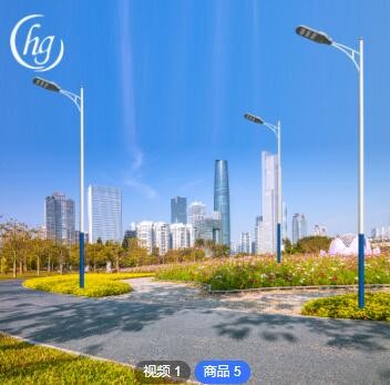 闪电拿样包邮 活动款金刚LED市电路灯新农村户外工程款模组路灯图2
