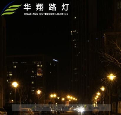 批发欧式双头LED太阳能庭院灯 3米-4米小区花园别墅压铸铝庭园灯图2