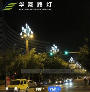 厂家定制新款LED中华玉兰灯 12米户外广场市政工程特色景观玉兰灯图3