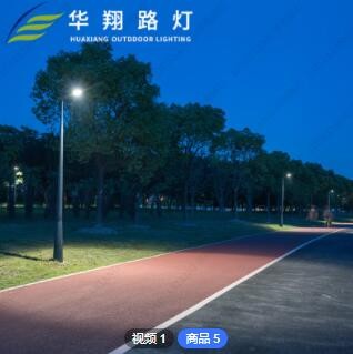 定制欧式双头LED太阳能庭院灯 3米-4米小区花园别墅压铸铝庭园灯