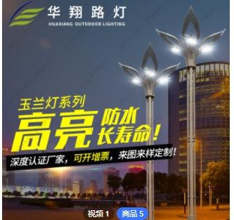 华翔厂家定制10米中华玉兰灯路灯 市政工程建设户外广场LED景观灯