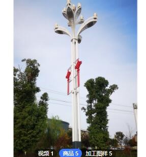 中华灯8米10米12米玉兰灯 市政道路广场小区户外景观灯玉兰灯图2