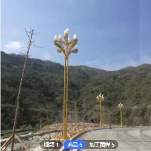 中华灯8米10米12米玉兰灯 市政道路广场小区户外景观灯玉兰灯图3