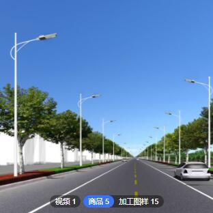 厂家定制中华灯 8米10米12米单臂路灯杆 农村厂区太阳能路灯杆图2