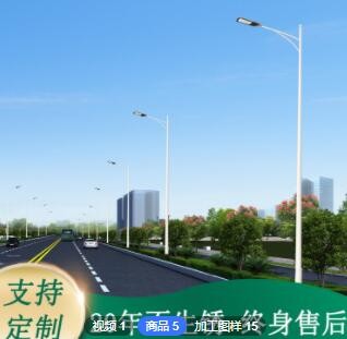 厂家定制中华灯 8米10米12米单臂路灯杆 农村厂区太阳能路灯杆图3