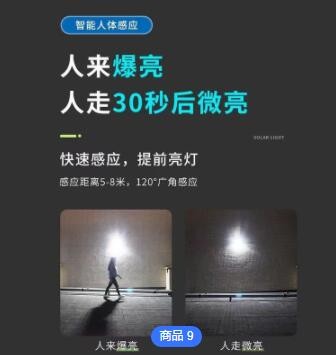 太阳能人体感应灯LED户外庭院灯太阳能灯家用照明灯太阳能投光灯图2