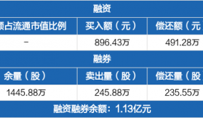 新能源：融资净买入405.15万元，融资余额9877.44万元（12-20）